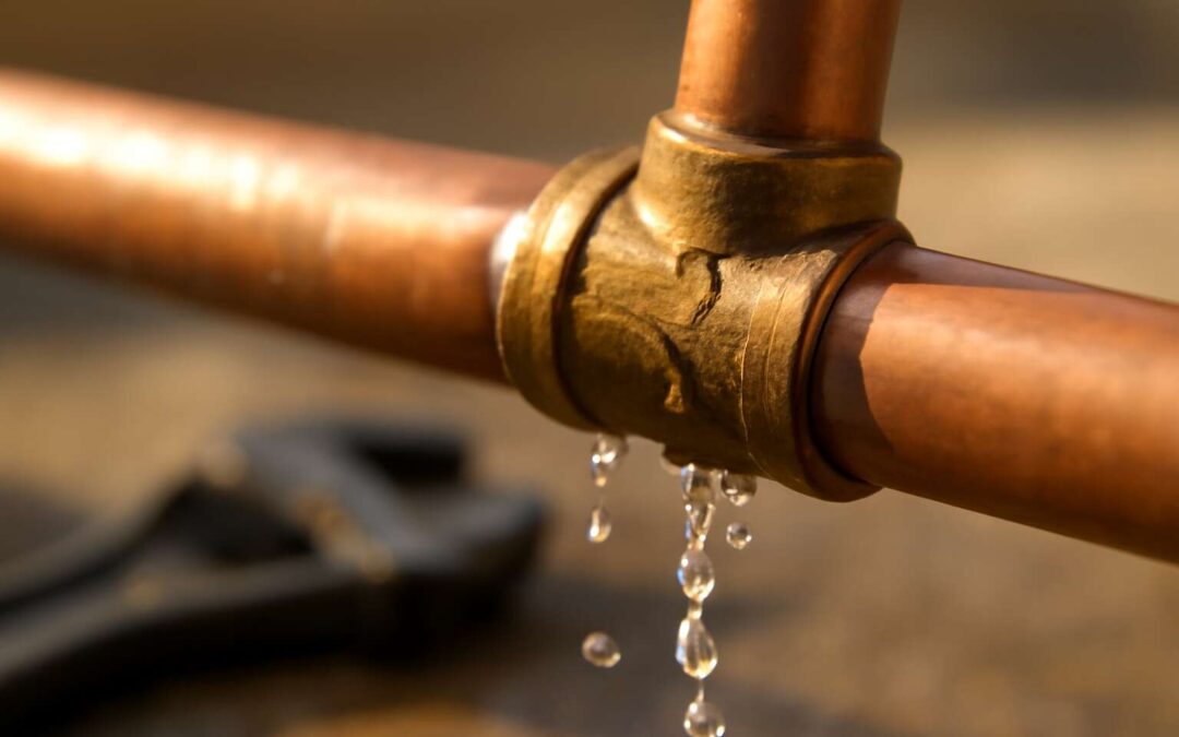 A quick guide for pipe fittings leaking: fixes, prevention tips, and savings.